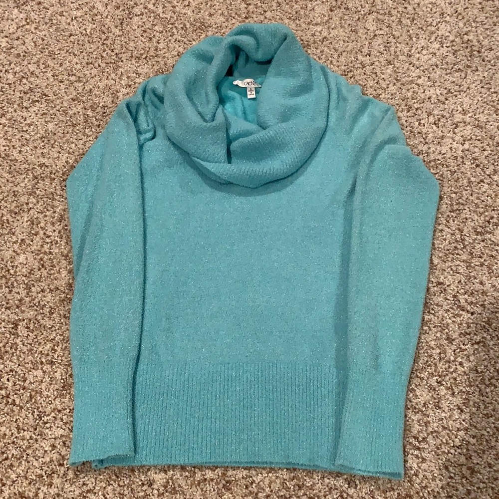 Super soft aqua colored long sleeve turtleneck.